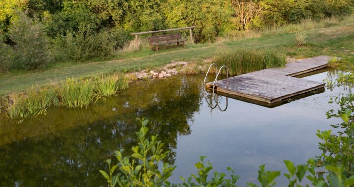 Hoe weet ik of mijn zwemvijver op maat is voor mijn tuin?