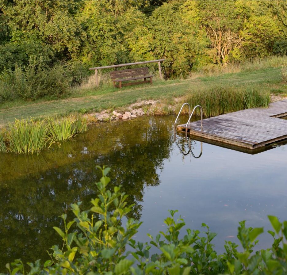 Hoe weet ik of mijn zwemvijver op maat is voor mijn tuin?